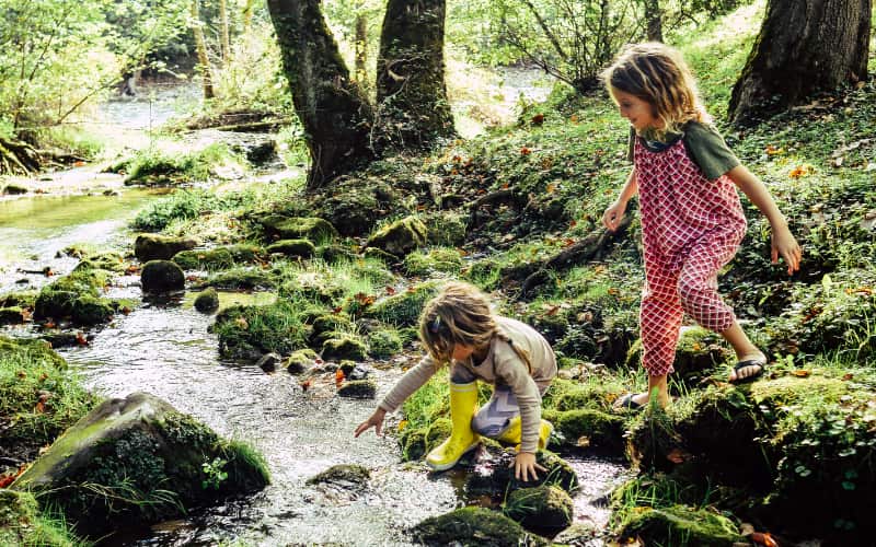 Two siblings scramble across a small forest creek