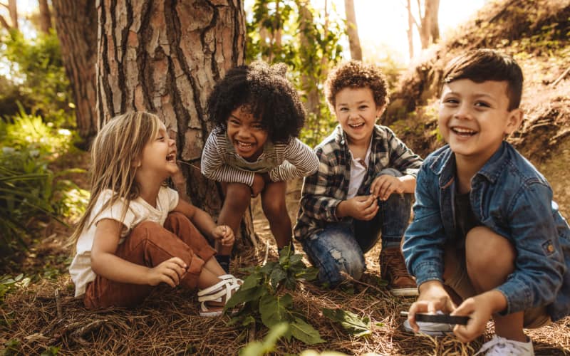 A group of laughing young children in the woods