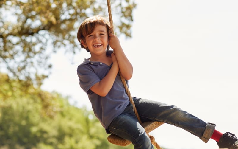 A smiling boy on a tree swing